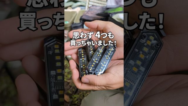 Soomloom スターリー 1個999円